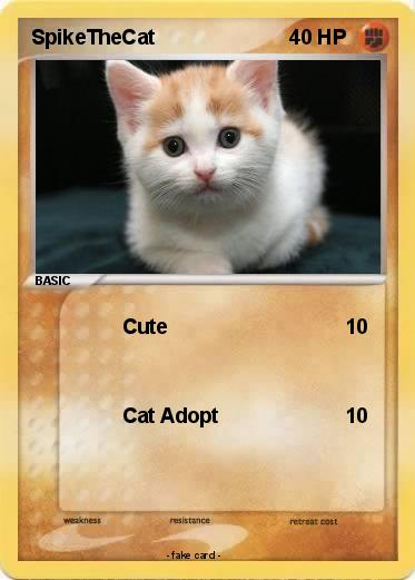 Pokemon SpikeTheCat