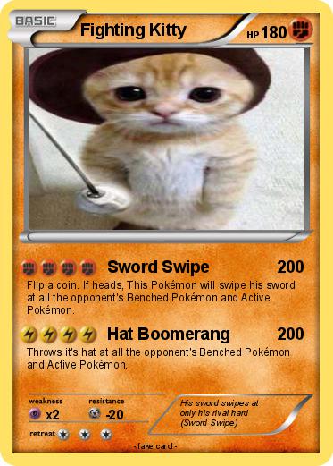 Pokemon Fighting Kitty