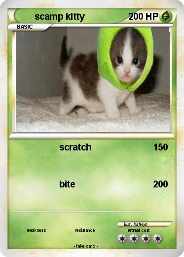 Pokemon scamp kitty