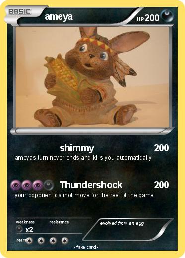 Pokemon ameya