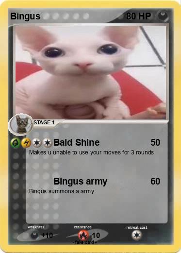 Pokemon Bingus