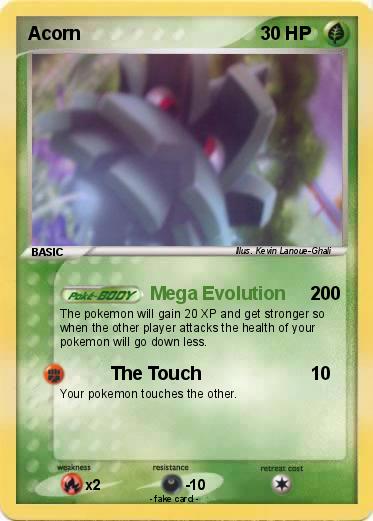 Pokemon Acorn