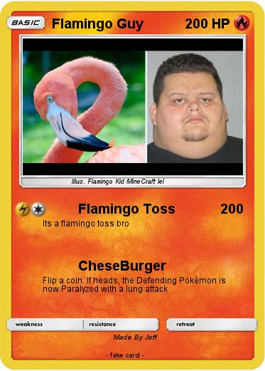 Pokemon Flamingo Guy