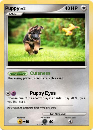 Pokemon Puppy