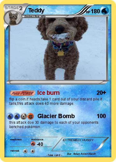 Pokemon Teddy