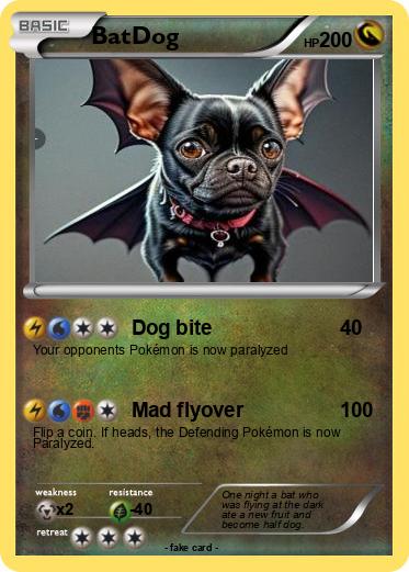 Pokemon BatDog