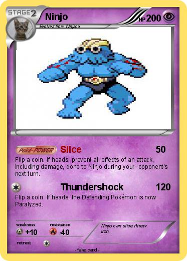 Pokemon Ninjo