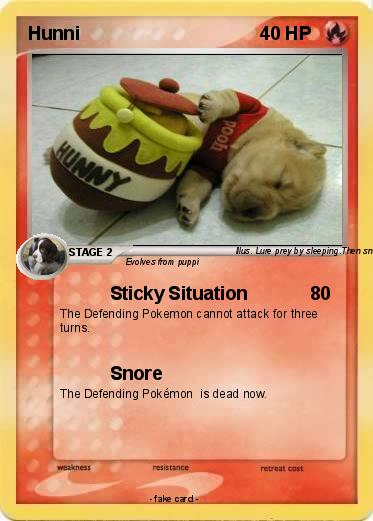 Pokemon Hunni