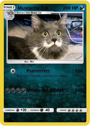 Pokemon Mustache Cat