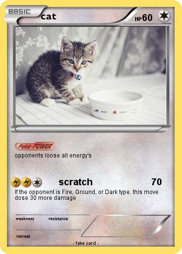 Pokemon cat