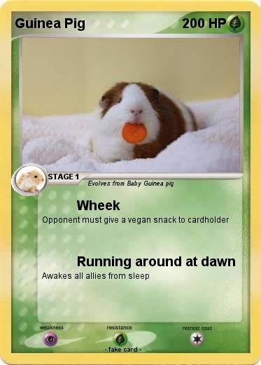 Pokemon Guinea Pig