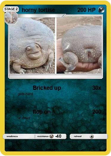 Pokemon horny tortise