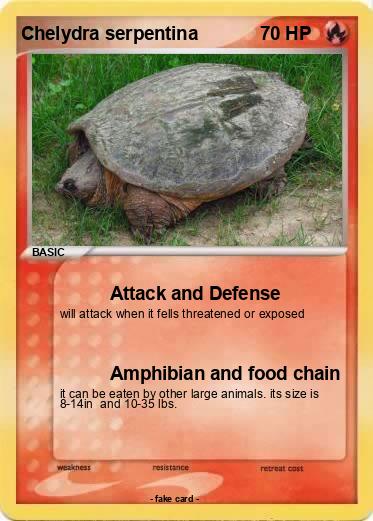 Pokemon Chelydra serpentina