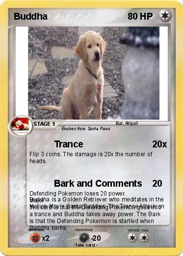 Pokemon Buddha