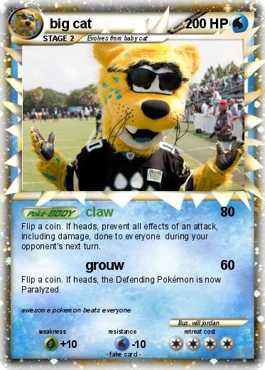 Pokemon big cat