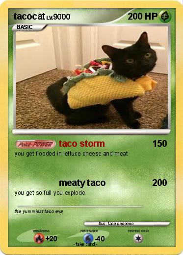 Pokemon tacocat
