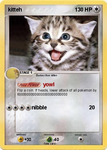 Pokemon kitteh