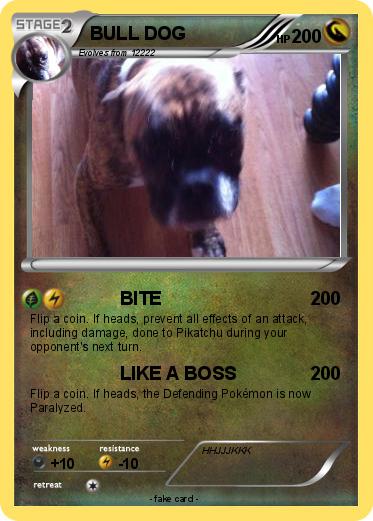 Pokemon BULL DOG