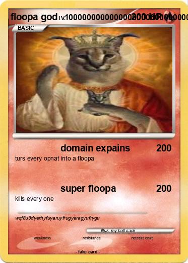 Pokemon floopa god