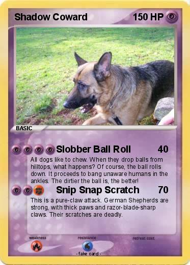 Pokemon Shadow Coward