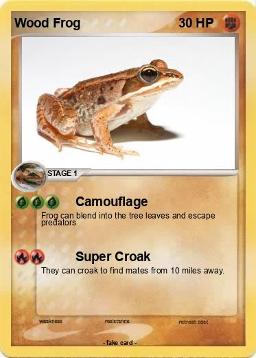 Pokemon Wood Frog