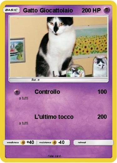 Pokemon Gatto Giocattolaio