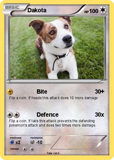 Pokemon Dakota