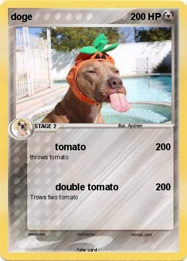 Pokemon doge