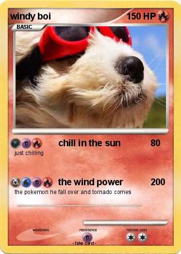 Pokemon windy boi