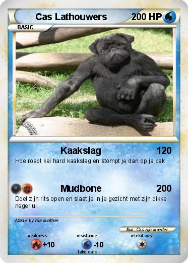 Pokemon Cas Lathouwers