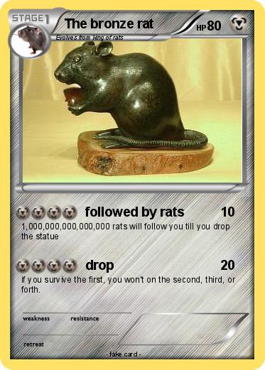 Pokemon The bronze rat