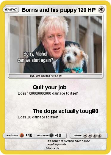 Pokemon Borris and his puppy
