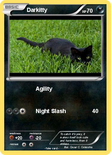 Pokemon Darkitty