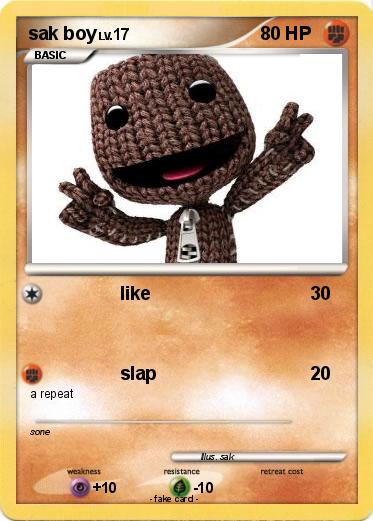 Pokemon sak boy