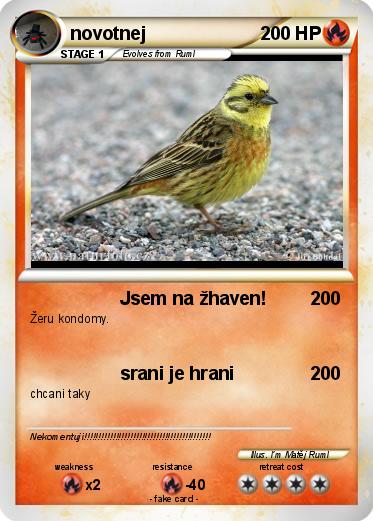 Pokemon novotnej