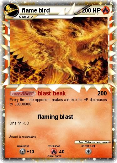 Pokemon flame bird