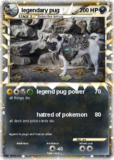 Pokemon legendary pug