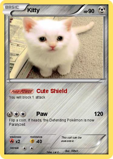 Pokemon Kitty