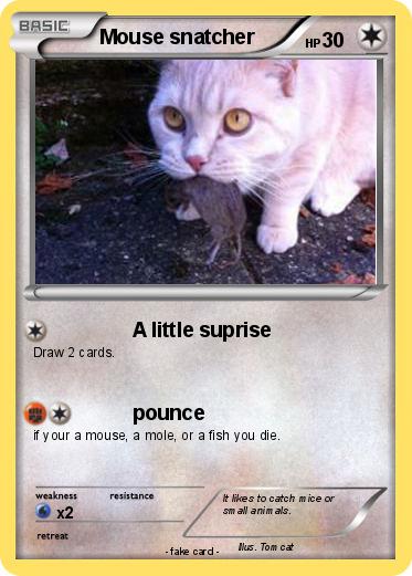 Pokemon Mouse snatcher