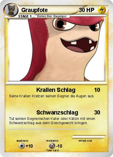Pokemon Graupfote