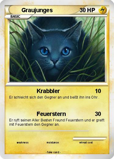 Pokemon Graujunges