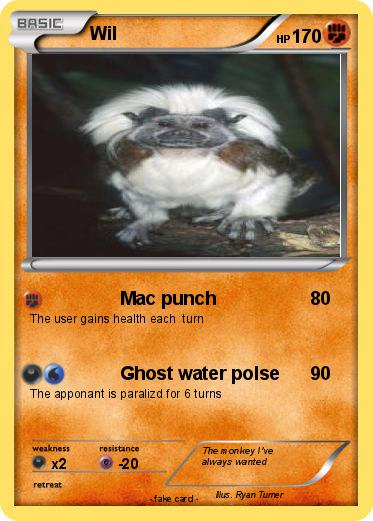 Pokemon Wil