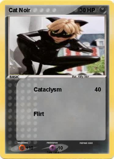 Pokemon Cat Noir