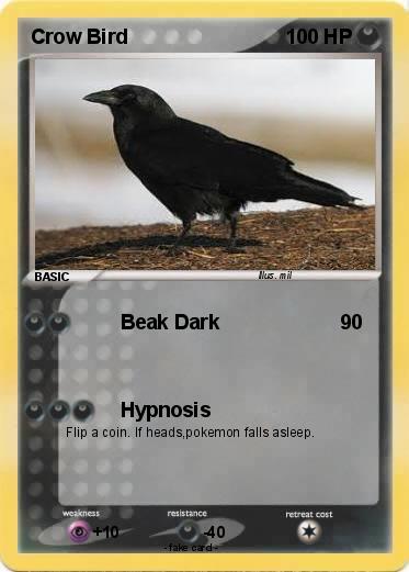 Pokemon Crow Bird