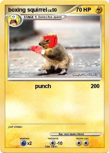Pokemon boxing squirrel