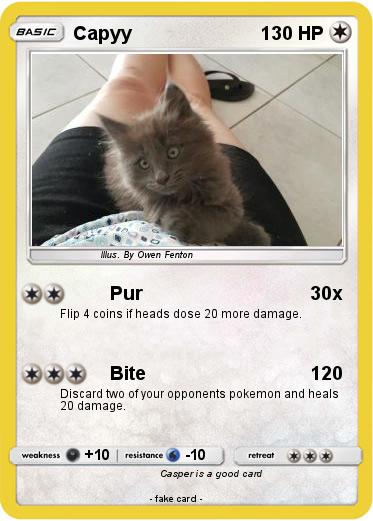 Pokemon Capyy
