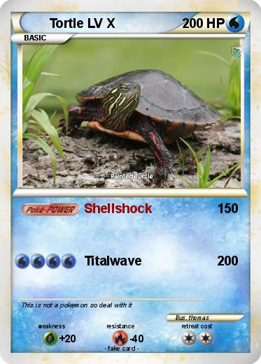 Pokemon Tortle LV X