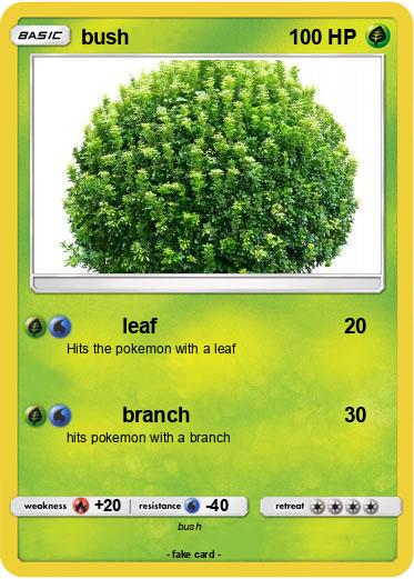 Pokemon bush