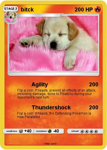 Pokemon bitck