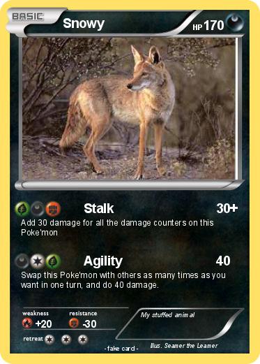 Pokemon Snowy